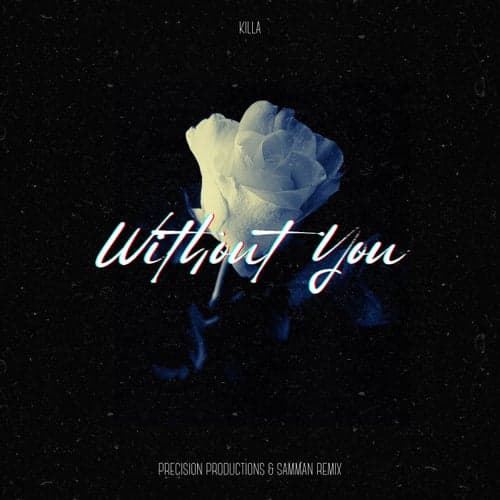 Without You (Precision Productions & Samman Remix)