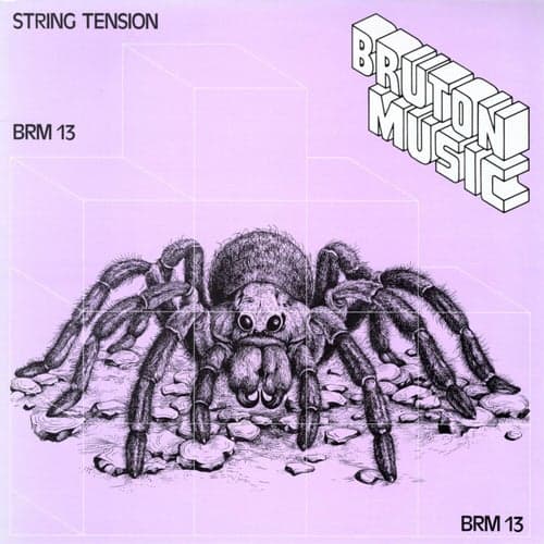 Bruton BRM13: String Tension