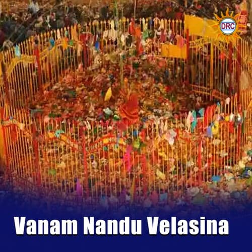 Vanam Nandu Velasina