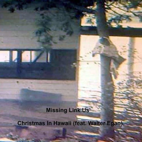 Christmas in Hawaii (feat. Walter Egan)