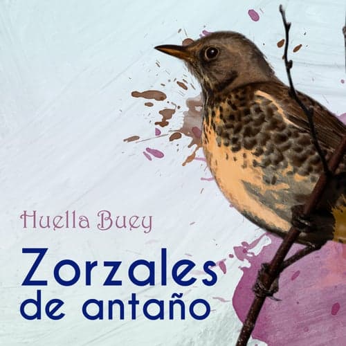 Zorzales de Antaño… Huella Buey