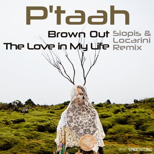 Brown Out / The Love in My Life (Siopis Remix)