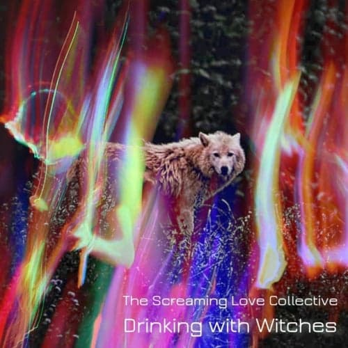 Drinking with Witches