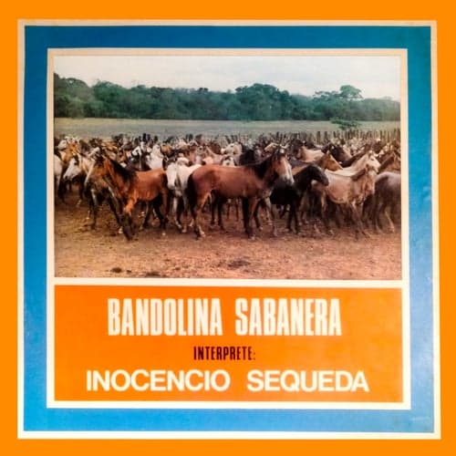 Bandolina Sabanera