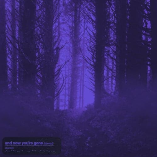 and now you're gone (Slowed + Reverb)