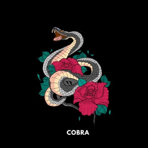 Cobra - Hard Trap HipHop Rap Beat