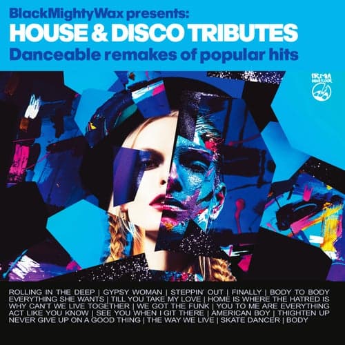 House & Disco Tributes (Black Mighty Wax presents Danceable Remakes of Popular Hits)