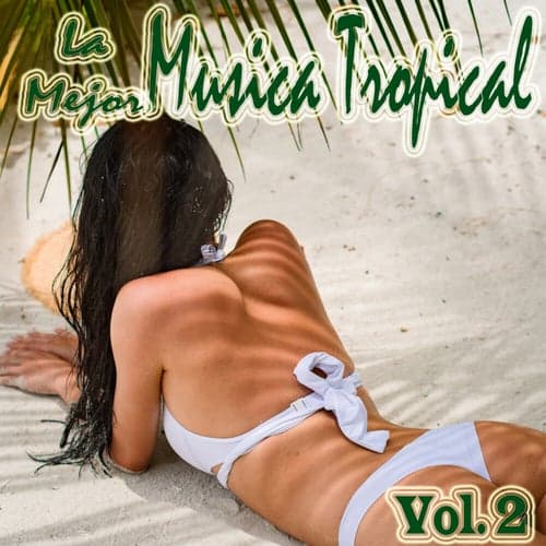La Mejor Musica Tropical, Vol. 2