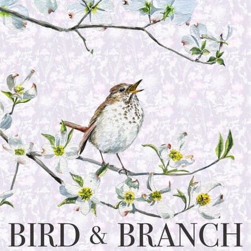 Bird & Branch