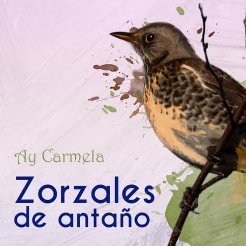 Zorzales de Antaño… Ay Carmela