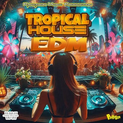 Tropical House EDM (EDM Remix)