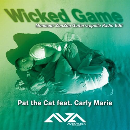 Wicked Game (Monsieur ZonZon Guitarrappella Radio Edit)
