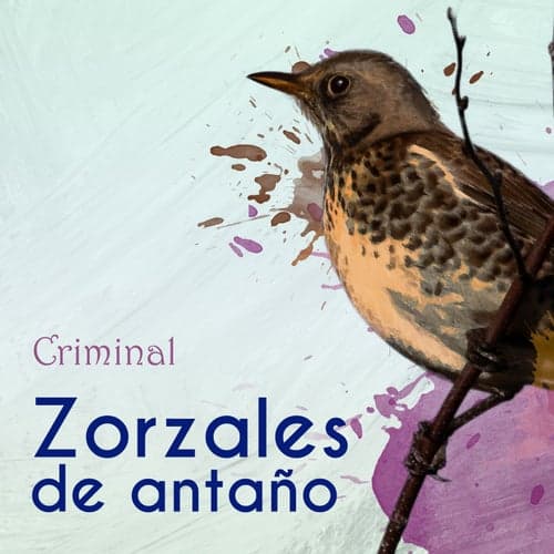 Zorzales de Antaño… Criminal