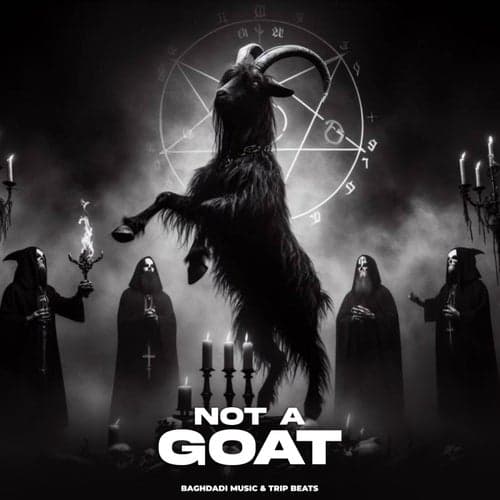 Not A Goat