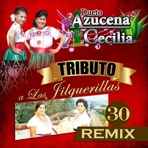 Tributo a Las Jilguerillas 30 (Remix)