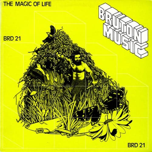 Bruton BRD21: The Magic of Life