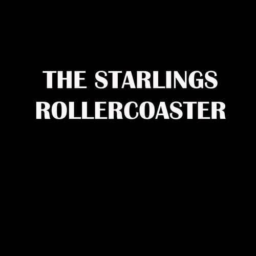 Rollercoaster - Acoustic (Fan Edition)