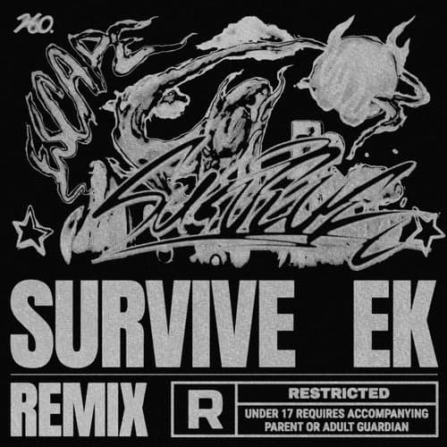 Survive (feat. B-Free) (Remixes)