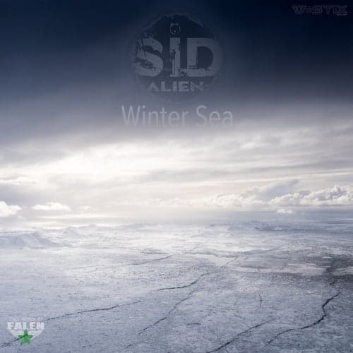 Winter Sea