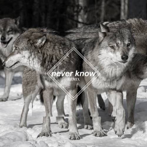 Never Know (Few Wolves VIP remix)