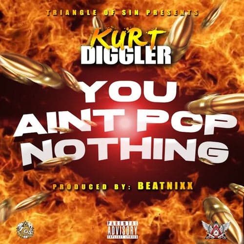 You Aint Pop Nothing - Single