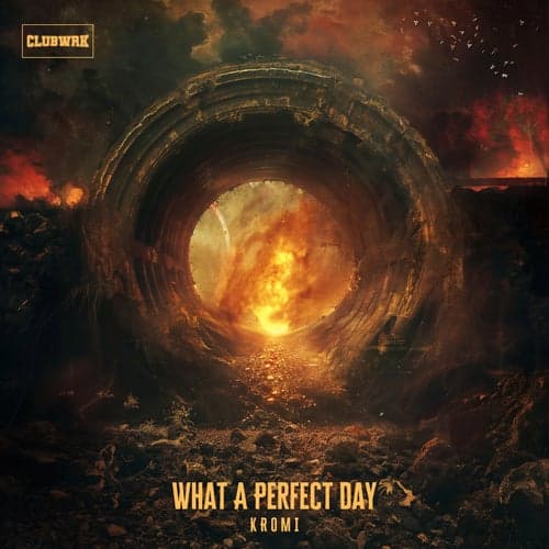 What A Perfect Day (Extended Mix)