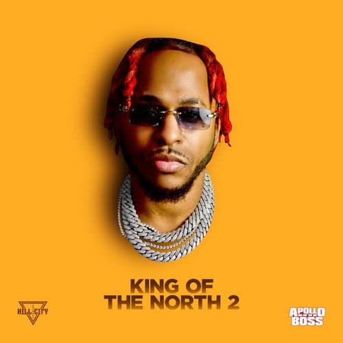 King Of The North 2