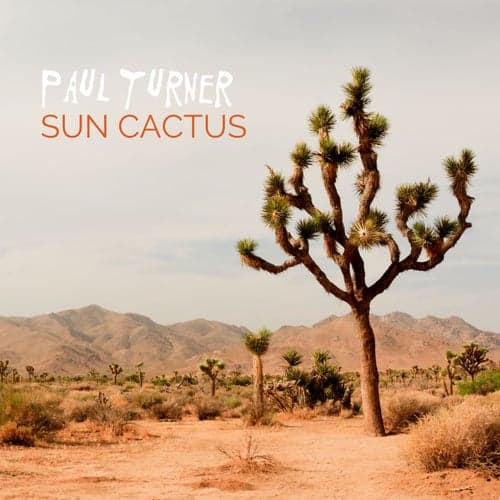 Sun Cactus