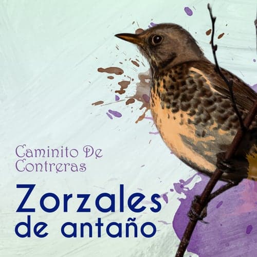 Zorzales de Antaño… Caminito De Contreras