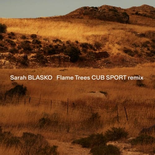 Flame Trees (Cub Sport Remix)