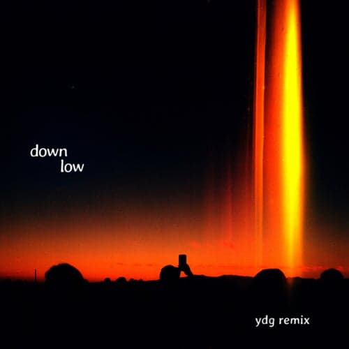 Down Low (YDG Remix)