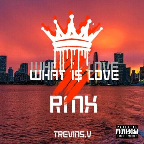 No Love (WHAT IS LOVE RMX)
