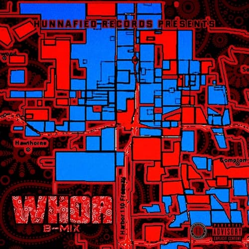 Whoa B-mix (feat. P Thrizzle, 2 swift, Kaos LB, V8, June Dawg, Mak 90, 2P's & Mitchy Slick)
