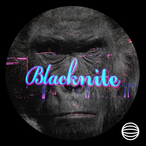 Blacknite (Dixout IV Harambé Remix)