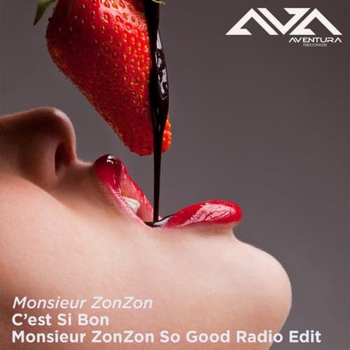C'est Si Bon (Monsieur ZonZon So Good Radio Mix)