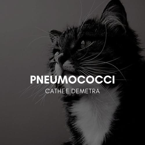 Pneumococci