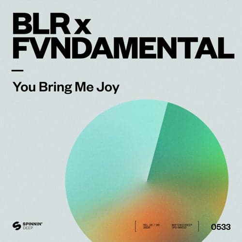 You Bring Me Joy (Extended Mix)