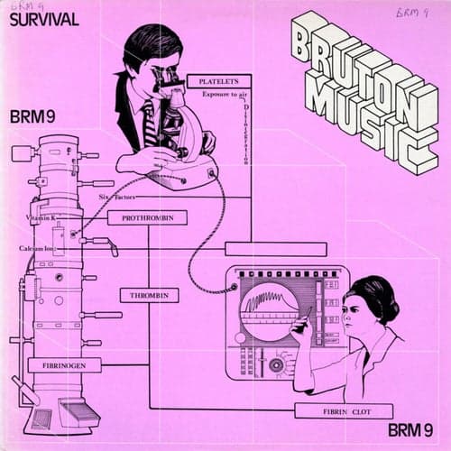 Bruton BRM9: Survival
